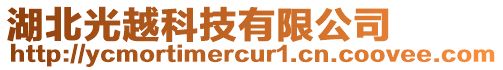 湖北光越科技有限公司