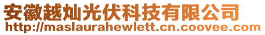 安徽越燦光伏科技有限公司
