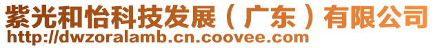 紫光和怡科技發展（廣東）有限公司