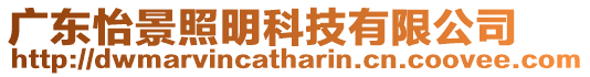 廣東怡景照明科技有限公司