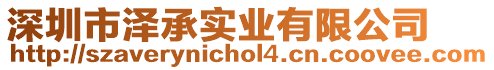 深圳市澤承實業有限公司