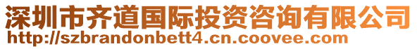 深圳市齊道國際投資咨詢有限公司