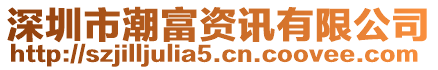 深圳市潮富資訊有限公司