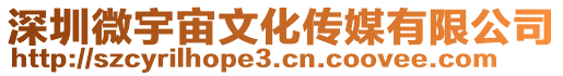 深圳微宇宙文化傳媒有限公司