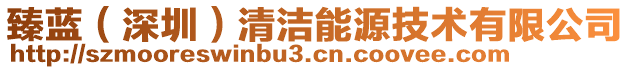 臻藍（深圳）清潔能源技術有限公司