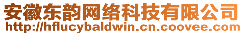 安徽東韻網(wǎng)絡科技有限公司