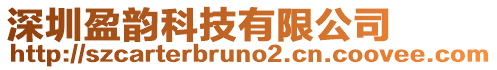 深圳盈韻科技有限公司