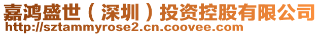 嘉鴻盛世（深圳）投資控股有限公司