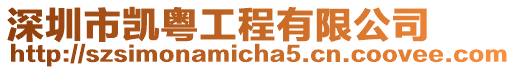 深圳市凱粵工程有限公司