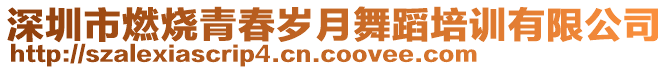 深圳市燃燒青春歲月舞蹈培訓(xùn)有限公司