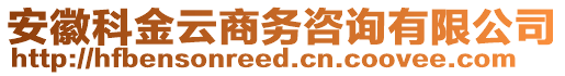 安徽科金云商務(wù)咨詢有限公司