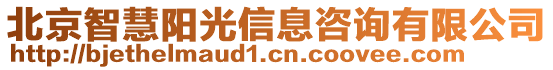 北京智慧阳光信息咨询有限公司