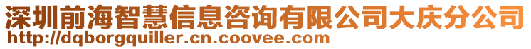 深圳前海智慧信息咨詢有限公司大慶分公司