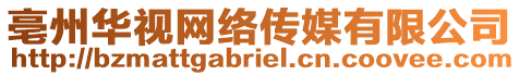 亳州華視網(wǎng)絡(luò)傳媒有限公司