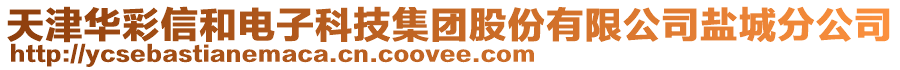 天津華彩信和電子科技集團(tuán)股份有限公司鹽城分公司