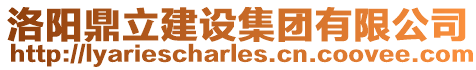 洛陽鼎立建設集團有限公司