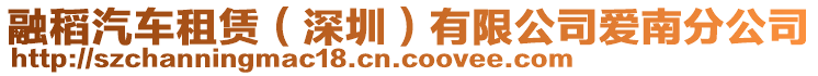 融稻汽車(chē)租賃（深圳）有限公司愛(ài)南分公司