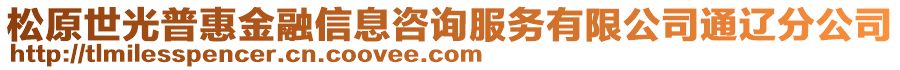 松原世光普惠金融信息咨詢服務(wù)有限公司通遼分公司