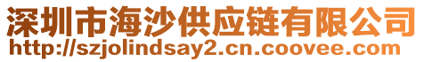 深圳市海沙供應鏈有限公司