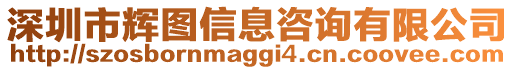 深圳市輝圖信息咨詢有限公司