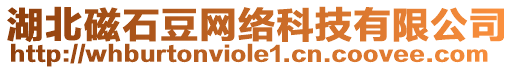 湖北磁石豆網(wǎng)絡(luò)科技有限公司