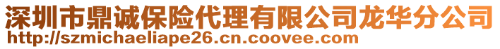 深圳市鼎誠保險代理有限公司龍華分公司