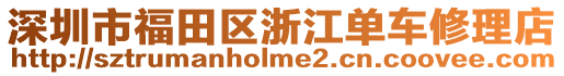 深圳市福田區(qū)浙江單車修理店