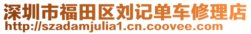 深圳市福田區(qū)劉記單車修理店