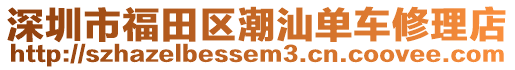 深圳市福田區(qū)潮汕單車修理店