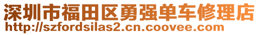 深圳市福田區(qū)勇強(qiáng)單車修理店