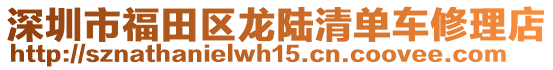 深圳市福田區(qū)龍陸清單車(chē)修理店