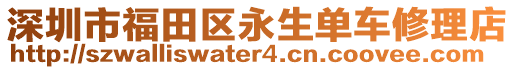 深圳市福田區(qū)永生單車修理店