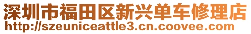 深圳市福田區(qū)新興單車修理店