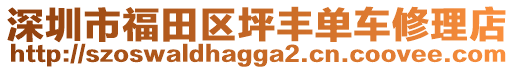 深圳市福田區(qū)坪豐單車修理店