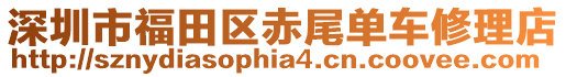 深圳市福田區(qū)赤尾單車修理店