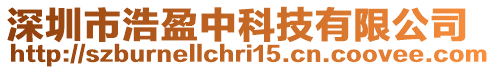 深圳市浩盈中科技有限公司