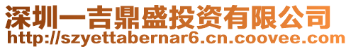 深圳一吉鼎盛投資有限公司