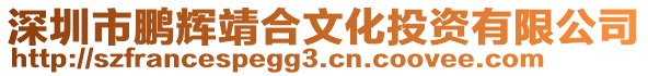 深圳市鵬輝靖合文化投資有限公司