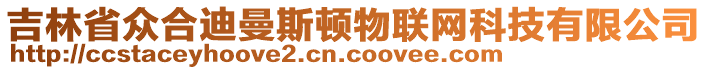 吉林省眾合迪曼斯頓物聯網科技有限公司