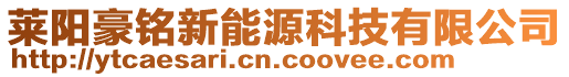 萊陽豪銘新能源科技有限公司