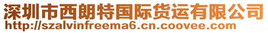 深圳市西朗特國際貨運有限公司