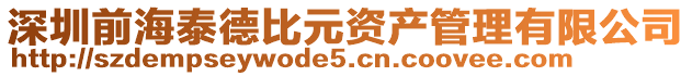 深圳前海泰德比元資產(chǎn)管理有限公司
