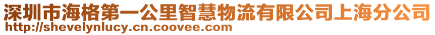 深圳市海格第一公里智慧物流有限公司上海分公司