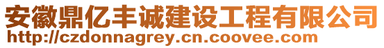 安徽鼎億豐誠建設工程有限公司