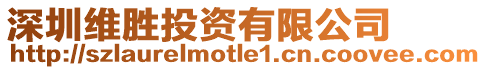 深圳維勝投資有限公司