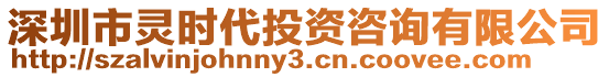 深圳市靈時(shí)代投資咨詢有限公司