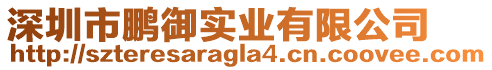深圳市鵬御實業(yè)有限公司
