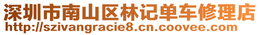 深圳市南山區(qū)林記單車修理店