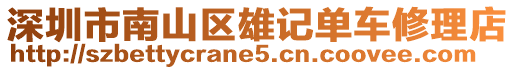 深圳市南山區(qū)雄記單車修理店