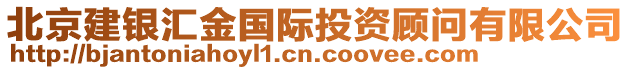 北京建銀匯金國際投資顧問有限公司